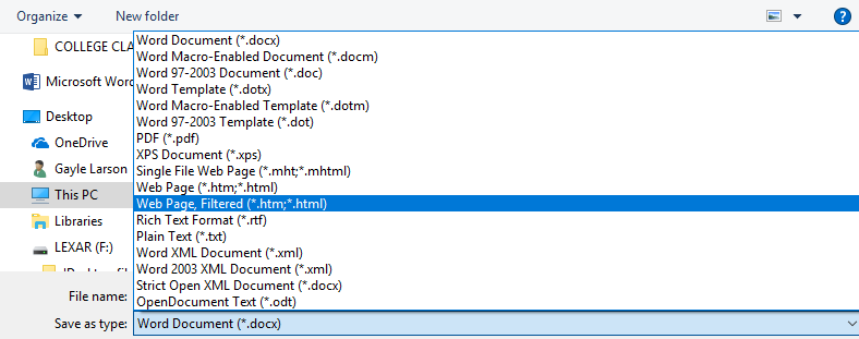 Save As Web Page Type Option
